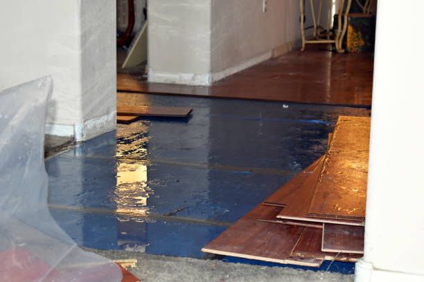 Professional Basement Flood Cleanup technician working in Jersey, GA